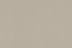 33540-2 cikkszámú tapéta, Architects Paper Castello tapéta katalógusából Dekor,egyszínű,különleges felületű,metál-fényes,szürke,súrolható,illesztés mentes,vlies tapéta