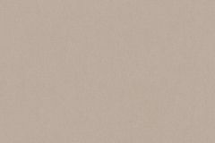 37703-1 cikkszámú tapéta, As Creation Art of Eden tapéta katalógusából Egyszínű,barna,szürke,gyengén mosható,illesztés mentes,vlies tapéta