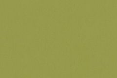 37749-3 cikkszámú tapéta, As Creation Art of Eden tapéta katalógusából Egyszínű,zöld,gyengén mosható,illesztés mentes,vlies tapéta