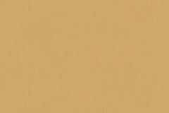37750-1 cikkszámú tapéta, As Creation Art of Eden tapéta katalógusából Egyszínű,narancs-terrakotta,gyengén mosható,illesztés mentes,vlies tapéta