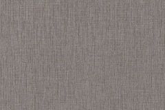 37952-7 cikkszámú tapéta, As Creation Daniel Hechter 7 tapéta katalógusából Egyszínű,szürke,illesztés mentes,súrolható,vlies tapéta