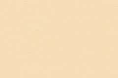 38902-2 cikkszámú tapéta, As Creation House of Turnowsky tapéta katalógusából Egyszínű,narancs-terrakotta,illesztés mentes,súrolható,vlies tapéta