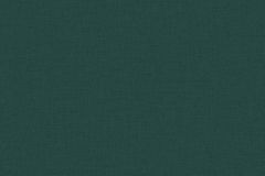37953-3 cikkszámú tapéta, As Creation Metropolitan Stories 2 tapéta katalógusából Egyszínű,zöld,illesztés mentes,súrolható,vlies tapéta