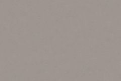 3769-61 cikkszámú tapéta, As Creation New Life tapéta katalógusából Egyszínű,barna,illesztés mentes,súrolható,vlies tapéta