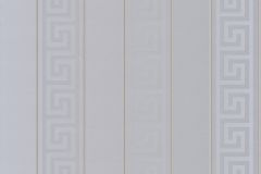 93524-5 cikkszámú tapéta, As Creation Versace 5 tapéta katalógusából Csíkos,arany,ezüst,illesztés mentes,súrolható,vlies tapéta