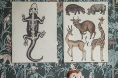 7463 cikkszámú tapéta, Boras Newbie tapéta katalógusából állatok,gyerek,rajzolt,barna,fekete,kék,zöld,lemosható,vlies tapéta