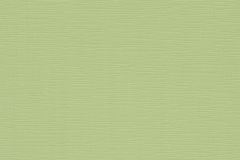 13082-07 cikkszámú tapéta, Erismann Novara 2022 tapéta katalógusából Egyszínű,zöld,lemosható,illesztés mentes,vlies tapéta
