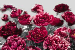 XXL4-002 cikkszámú tapéta, Komar Flowers and Textures (Imagine 2) tapéta katalógusából Virágmintás,pink-rózsaszín,sárga,szürke,zöld,gyengén mosható,vlies poszter, fotótapéta