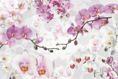 XXL4-032 cikkszámú tapéta, Komar Flowers and Textures (Imagine 2) tapéta katalógusából Természeti mintás,virágmintás,fehér,pink-rózsaszín,sárga,szürke,gyengén mosható,vlies poszter, fotótapéta