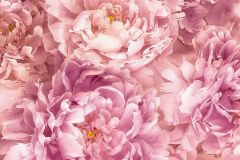 XXL2-009 cikkszámú tapéta, Komar Into Illusions tapéta katalógusából Fotórealisztikus,virágmintás,fehér,pink-rózsaszín,gyengén mosható,vlies poszter, fotótapéta