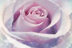 XXL2-020 cikkszámú tapéta, Komar Into Illusions tapéta katalógusából Fotórealisztikus,gyerek,gyöngyös,pöttyös,virágmintás,kék,lila,pink-rózsaszín,gyengén mosható,vlies poszter, fotótapéta