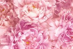 P009-VD2 cikkszámú tapéta, Komar Komar Pure tapéta katalógusából Virágmintás,pink-rózsaszín,vlies poszter, fotótapéta