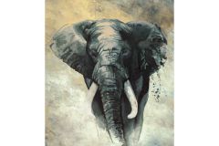 állatok,különleges motívumos,bézs-drapp,szürke,illesztés mentes,súrolható,vlies poszter, fotótapéta 33098 cikkszámú tapéta, Marburg Travertino tapéta katalógusából állatok,különleges motívumos,bézs-drapp,szürke,illesztés mentes,súrolható,vlies poszter, fotótapéta