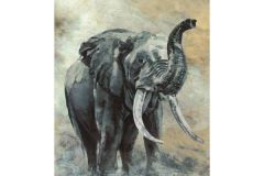 állatok,barna,fekete,szürke,illesztés mentes,súrolható,vlies poszter, fotótapéta 33099 cikkszámú tapéta, Marburg Travertino tapéta katalógusából állatok,barna,fekete,szürke,illesztés mentes,súrolható,vlies poszter, fotótapéta