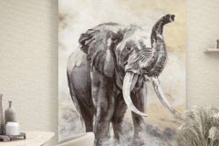 állatok,barna,fekete,szürke,illesztés mentes,súrolható,vlies poszter, fotótapéta 33099 cikkszámú tapéta, Marburg Travertino tapéta katalógusából állatok,barna,fekete,szürke,illesztés mentes,súrolható,vlies poszter, fotótapéta