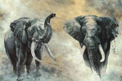 állatok,barna,fekete,szürke,illesztés mentes,súrolható,vlies poszter, fotótapéta 33100 cikkszámú tapéta, Marburg Travertino tapéta katalógusából állatok,barna,fekete,szürke,illesztés mentes,súrolható,vlies poszter, fotótapéta