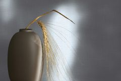35757 cikkszámú tapéta, Novamur Boho tapéta katalógusából Súrolható,illesztés mentes,vlies tapéta