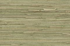 215488 cikkszámú tapéta, Rasch Textil Contempo tapéta katalógusából Különleges felületű,természeti mintás,zöld,illesztés mentes,vlies tapéta