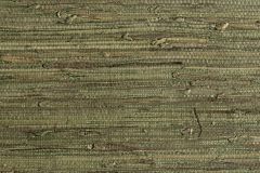 219134 cikkszámú tapéta, Rasch Textil Contempo tapéta katalógusából Különleges felületű,természeti mintás,zöld, tapéta