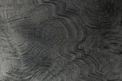 303666 cikkszámú tapéta, Rasch Textil Contempo tapéta katalógusából Absztrakt,fekete,szürke,vlies panel, fotótapéta