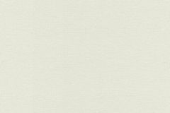 295527 cikkszámú tapéta, Rasch Textil Sakura tapéta katalógusából Egyszínű,bézs-drapp,gyengén mosható,illesztés mentes,vlies tapéta