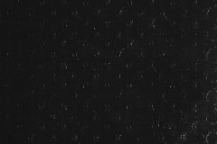 21-CAVIAR cikkszámú tapéta, Rasch Covers: Leatheritz tapéta katalógusából Bőr hatású,fekete,gyengén mosható,papír tapéta