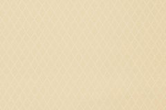 49-BEIGE cikkszámú tapéta, Rasch Covers: Leatheritz tapéta katalógusából Bőr hatású,egyszínű,bézs-drapp,gyengén mosható,papír tapéta