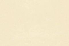 52-MARZIPAN cikkszámú tapéta, Rasch Covers: Leatheritz tapéta katalógusából Egyszínű,bézs-drapp,illesztés mentes,gyengén mosható,papír tapéta