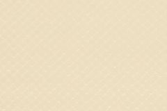 54-DUNE cikkszámú tapéta, Rasch Covers: Leatheritz tapéta katalógusából Bőr hatású,egyszínű,bézs-drapp,gyengén mosható,papír tapéta