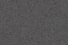 520927 cikkszámú tapéta, Rasch Factory V tapéta katalógusából Egyszínű,fekete,illesztés mentes,lemosható,vlies tapéta