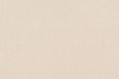 484526 cikkszámú tapéta, Rasch Florentine 3 tapéta katalógusából Egyszínű,bézs-drapp,illesztés mentes,lemosható,vlies tapéta