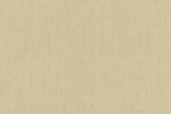 484687 cikkszámú tapéta, Rasch Florentine 4 tapéta katalógusából Egyszínű,textil hatású,zöld,illesztés mentes,lemosható,vlies tapéta