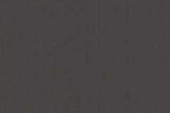 746198 cikkszámú tapéta, Rasch Indian Style tapéta katalógusából Egyszínű,fekete,illesztés mentes,lemosható,vlies tapéta