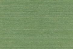 528862 cikkszámú tapéta, Rasch Mandalay tapéta katalógusából Egyszínű,különleges felületű,zöld,lemosható,vlies tapéta